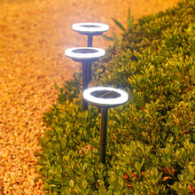 Load image into Gallery viewer, 2 Pcs 12LED Plastic Rotating Color Light Garden Ground Mounted Solar light