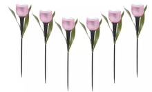 Load image into Gallery viewer, 6 Pack Tulip-Shaped Garden Solar Lights