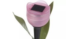 Load image into Gallery viewer, 6 Pack Tulip-Shaped Garden Solar Lights