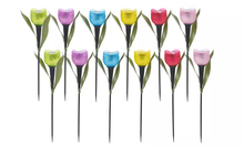 Load image into Gallery viewer, 6 Pack Tulip-Shaped Garden Solar Lights