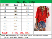 Load image into Gallery viewer, Ladies Deep V-neck Chiffon Blouses