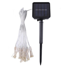 Load image into Gallery viewer, 50/100LED Christmas String Light Solalr
