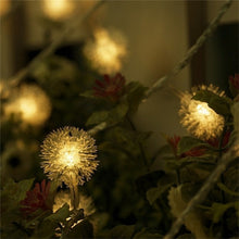 Load image into Gallery viewer, Romantic 6M 40 LEDs Snow Pompon Fairy Dandelion String Lights