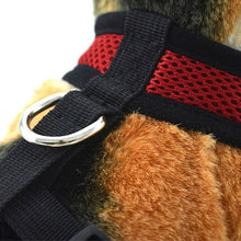 Load image into Gallery viewer, Soft Mesh Pet Vest