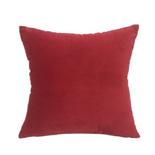 Load image into Gallery viewer, 2 Pack Soft Velvet Cushion Cover