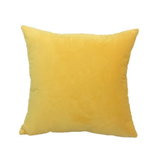Load image into Gallery viewer, 2 Pack Soft Velvet Cushion Cover