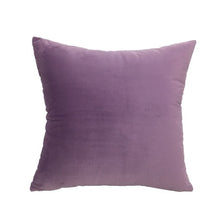 Load image into Gallery viewer, 2 Pack Soft Velvet Cushion Cover
