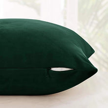 Load image into Gallery viewer, 2 Pack Soft Velvet Cushion Cover