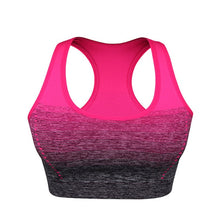 Load image into Gallery viewer, Gradient High Stretch Sports Bra for Women
