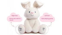Load image into Gallery viewer, Peek-a-Boo Bunny Toy