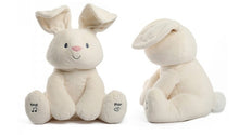 Load image into Gallery viewer, Peek-a-Boo Bunny Toy