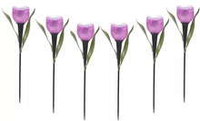 Load image into Gallery viewer, 6 Pack Tulip-Shaped Garden Solar Lights
