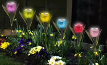 Load image into Gallery viewer, 6 Pack Tulip-Shaped Garden Solar Lights
