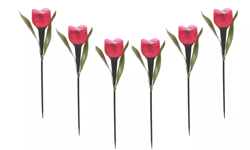 6 Pack Tulip-Shaped Garden Solar Lights