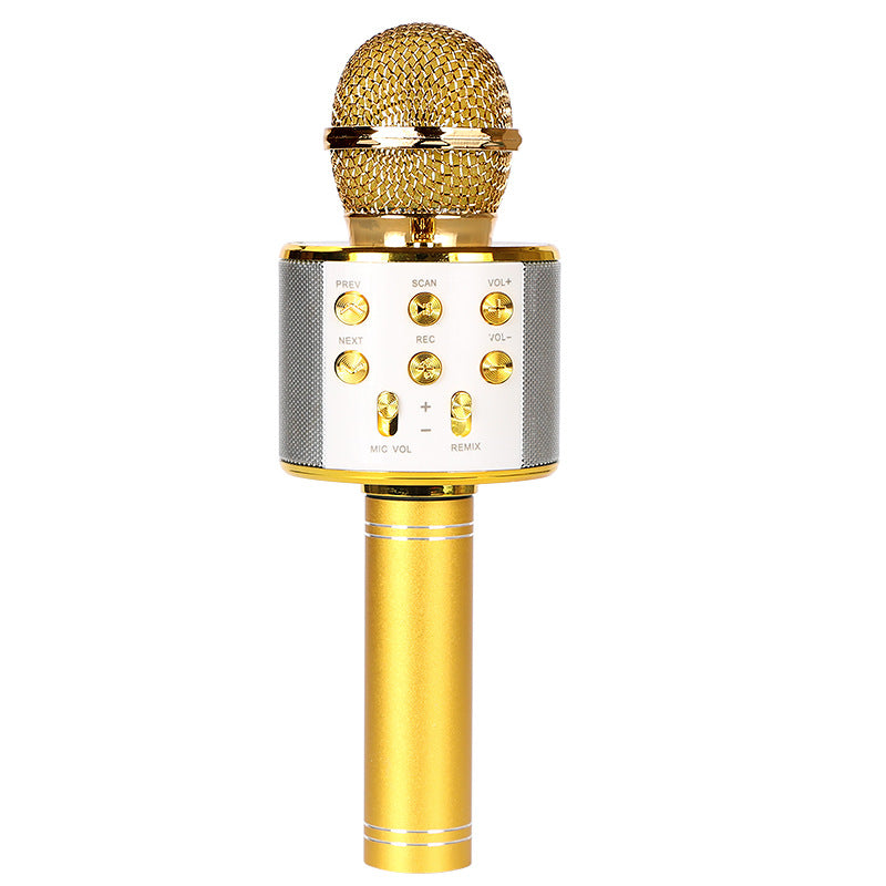 Portable Bluetooth Karaoke Microphone