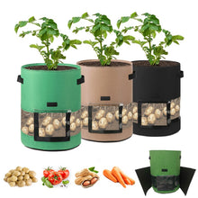 Load image into Gallery viewer, 2 size Home Garden Pot Greenhouse Vegetable Growing Bags
