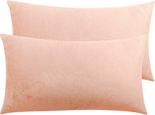 Load image into Gallery viewer, 2 Pack  Solid Color Pillow Cases
