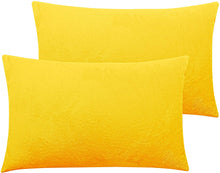 Load image into Gallery viewer, 2 Pack  Solid Color Pillow Cases
