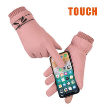 Load image into Gallery viewer, Winter Windproof Waterproof Internal Plush Warm Gloves
