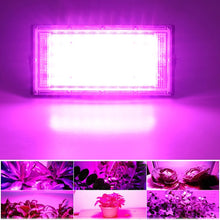 Load image into Gallery viewer, LED Indoor Outdoor Greenhouse Plant Hydroponic Plant Spotlight
