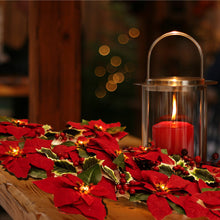 Load image into Gallery viewer, 3M 20LED Christmas poinsettia lantern string
