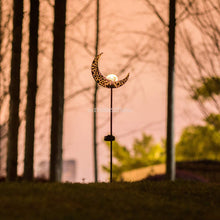 Load image into Gallery viewer, Outdoor Lunar Garden Light LED
