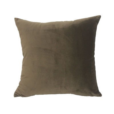 2 Pack Soft Velvet Cushion Cover